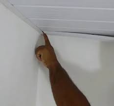 Imagem Segundaria do Produto